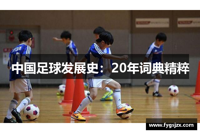 中国足球发展史：20年词典精粹