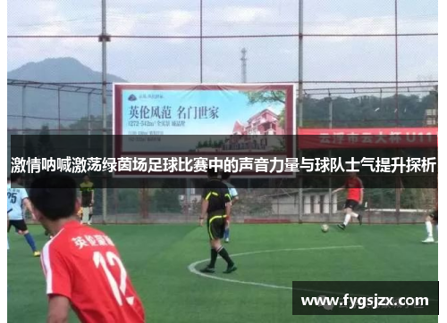 激情呐喊激荡绿茵场足球比赛中的声音力量与球队士气提升探析