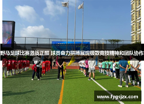 野马足球比赛激战正酣 球员奋力拼搏展现极致竞技精神和团队协作